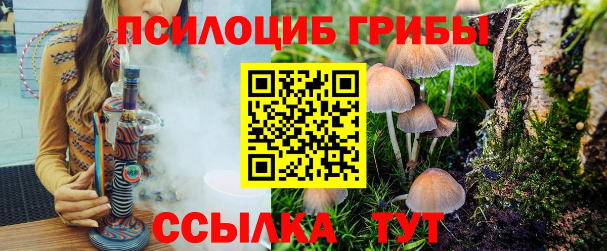 Казань  Галлюциногенные грибы мицелий  Вход с VPN 