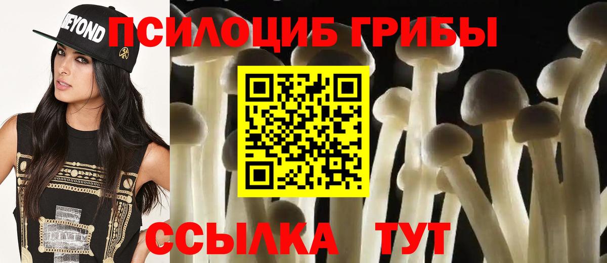 Псилоцибиновые грибы GOLDEN TEACHER Казань